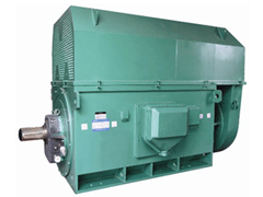 YJTGKK3551-4YKK系列高压电机